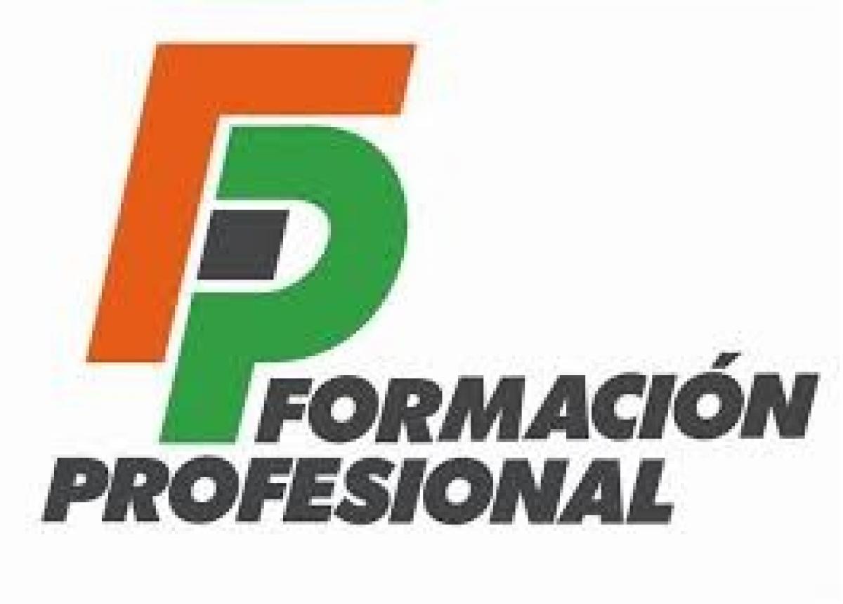 FORMACIN PROFESIONAL
