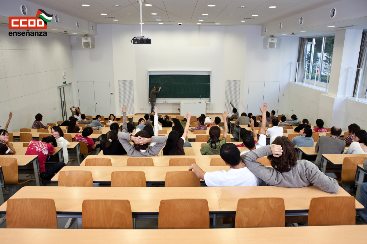 Enseñanza Universidad