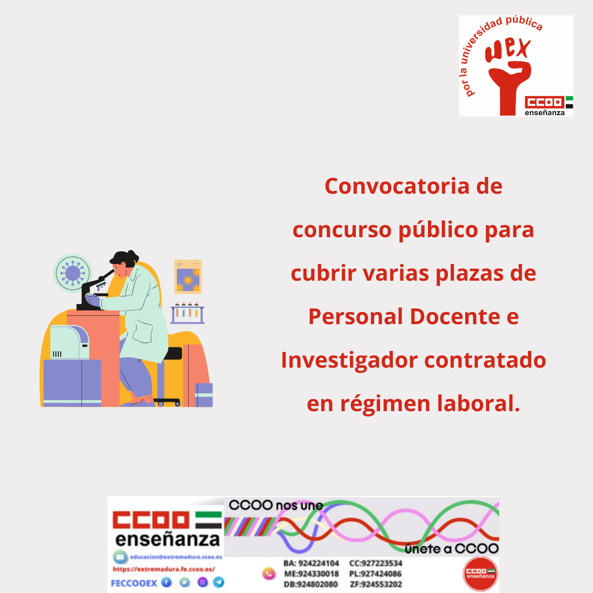 Convocatoria PDI