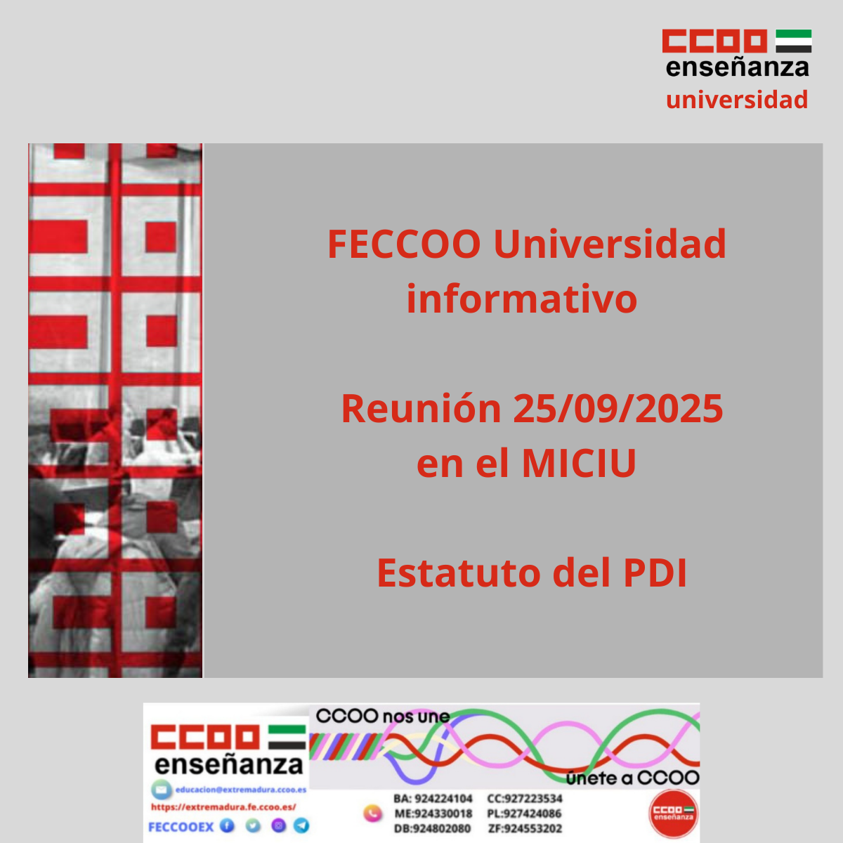 FECCOO Universidad Informativo. Estatuto PDI
