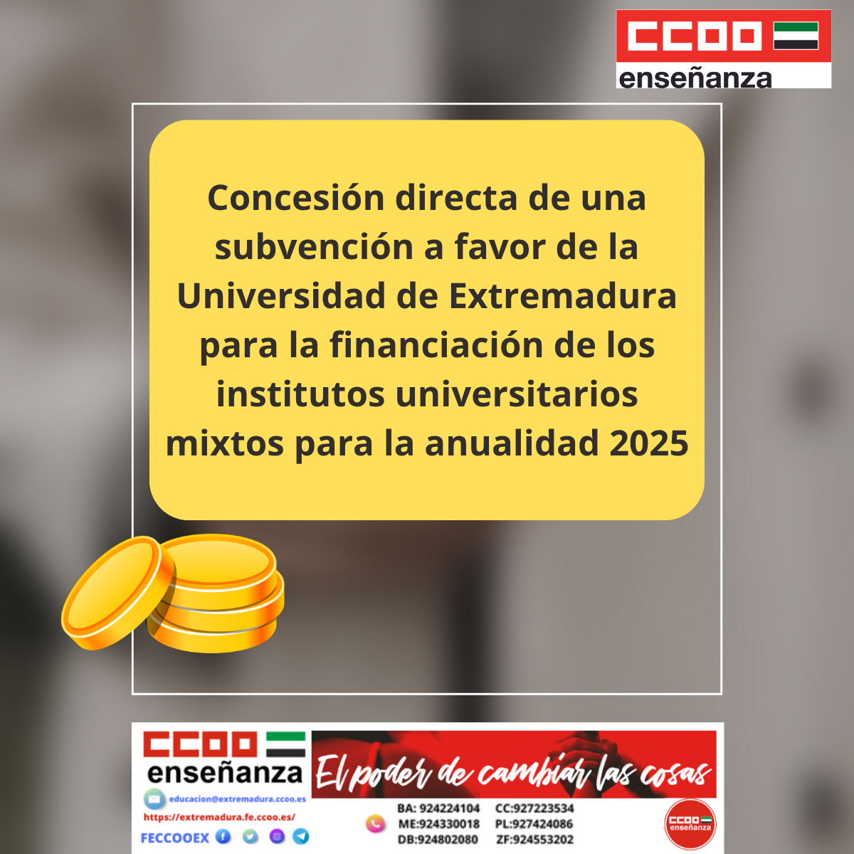 concesion de subvencin para financiar Institutos universitarios mixtos