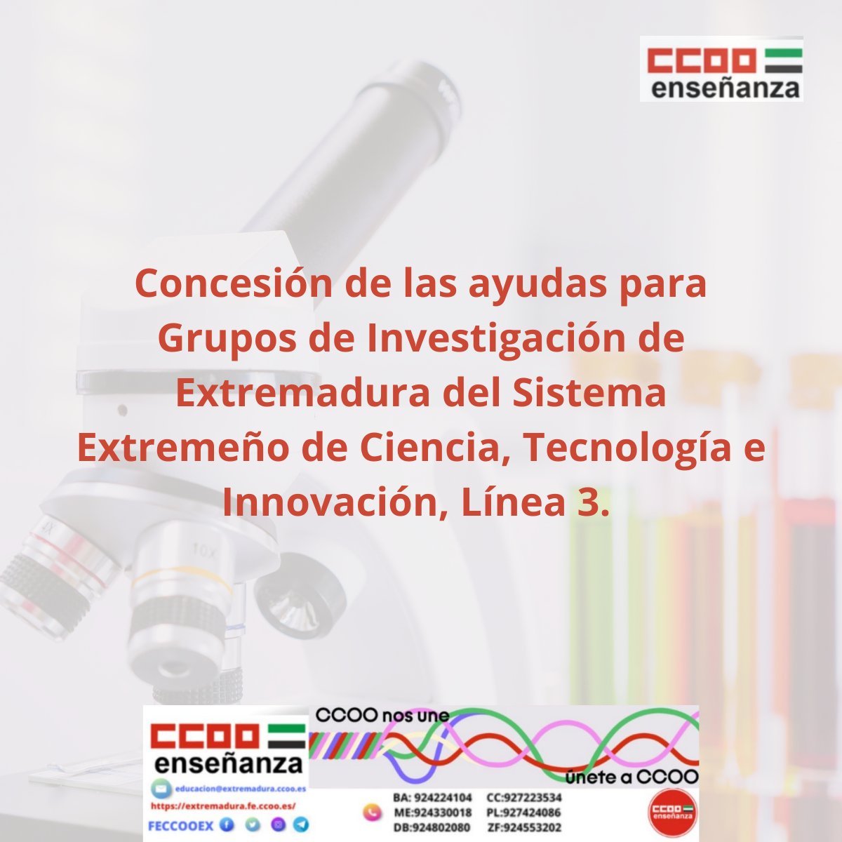 concesion ayudas linea 3 grupos de investigacin