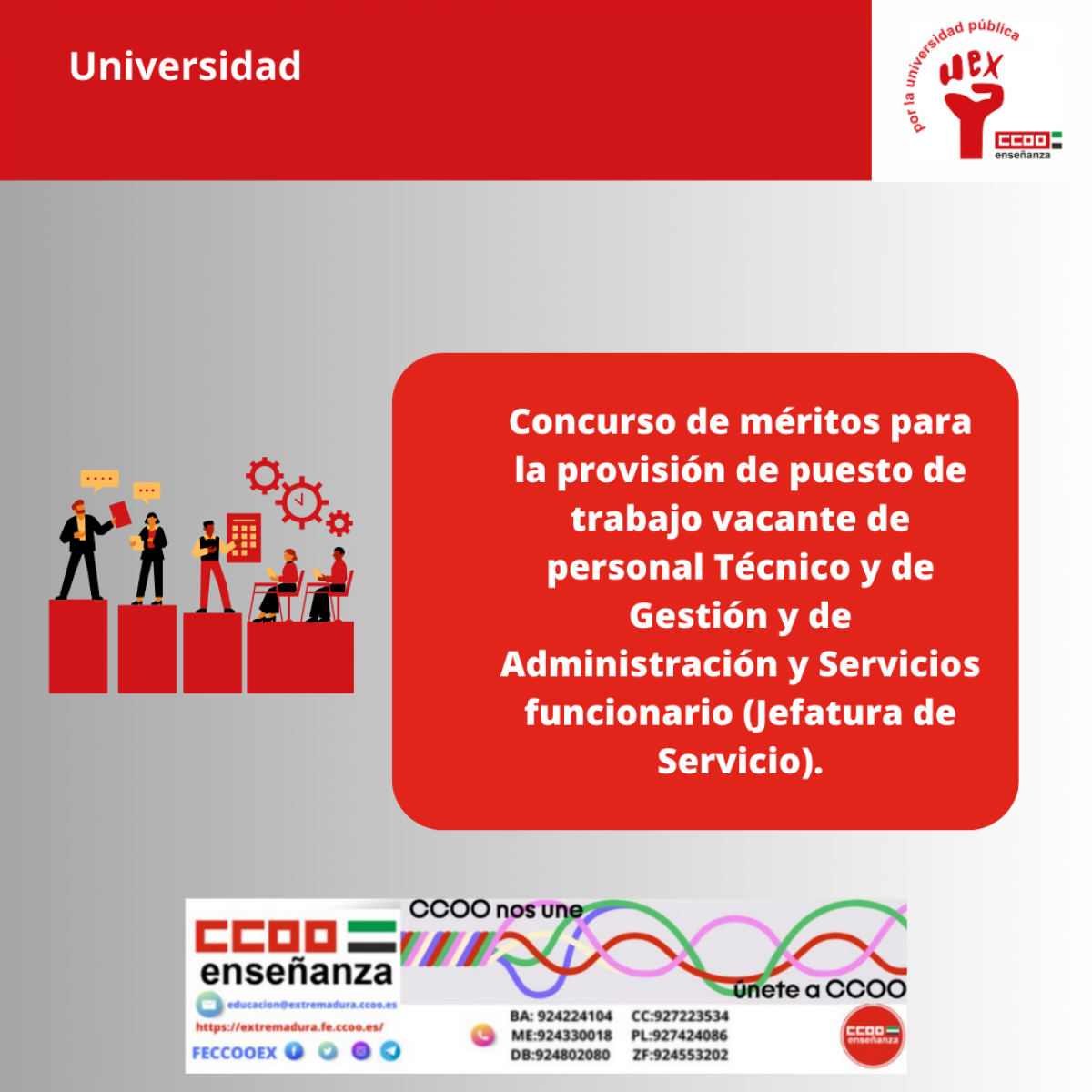 Concurso de méritos Jefatura de Servicios