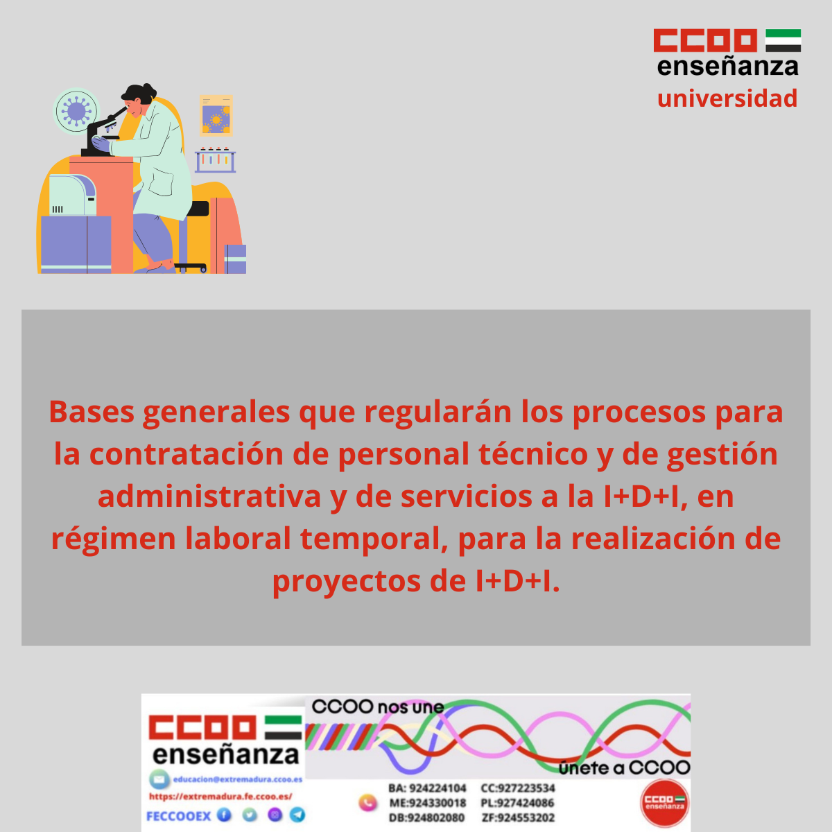 Bases que regulan procesos de contratacin