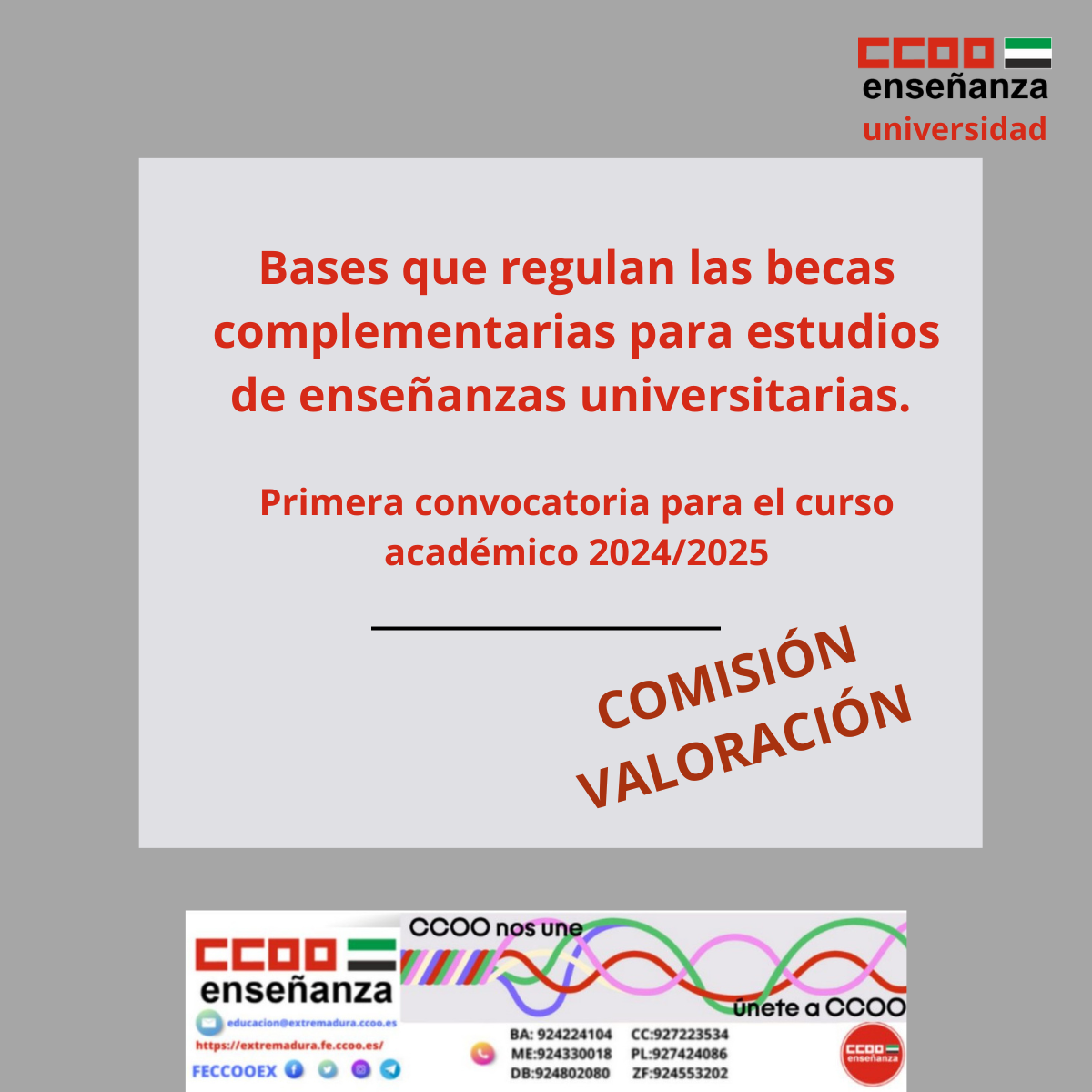 Comisión valoración becas complementarias curso 2024/2025