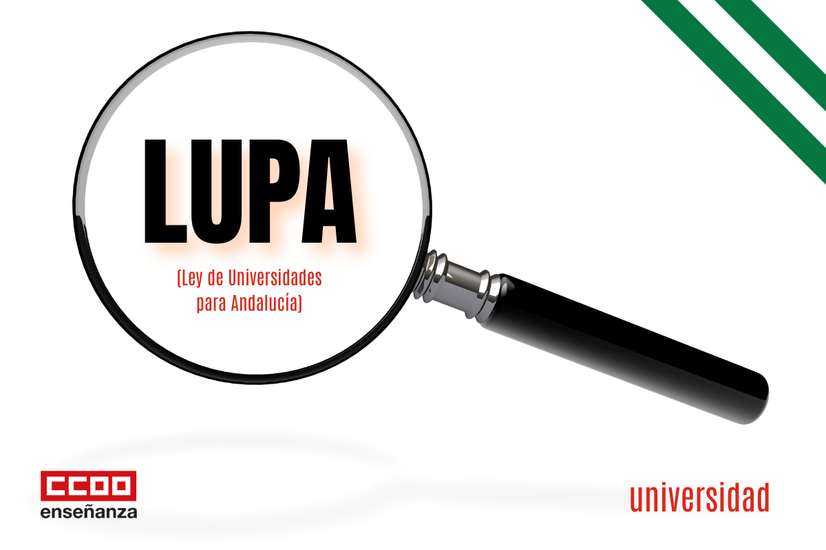 Desde CCOO confrontaremos contra el modelo de universidad que propone la nueva Ley