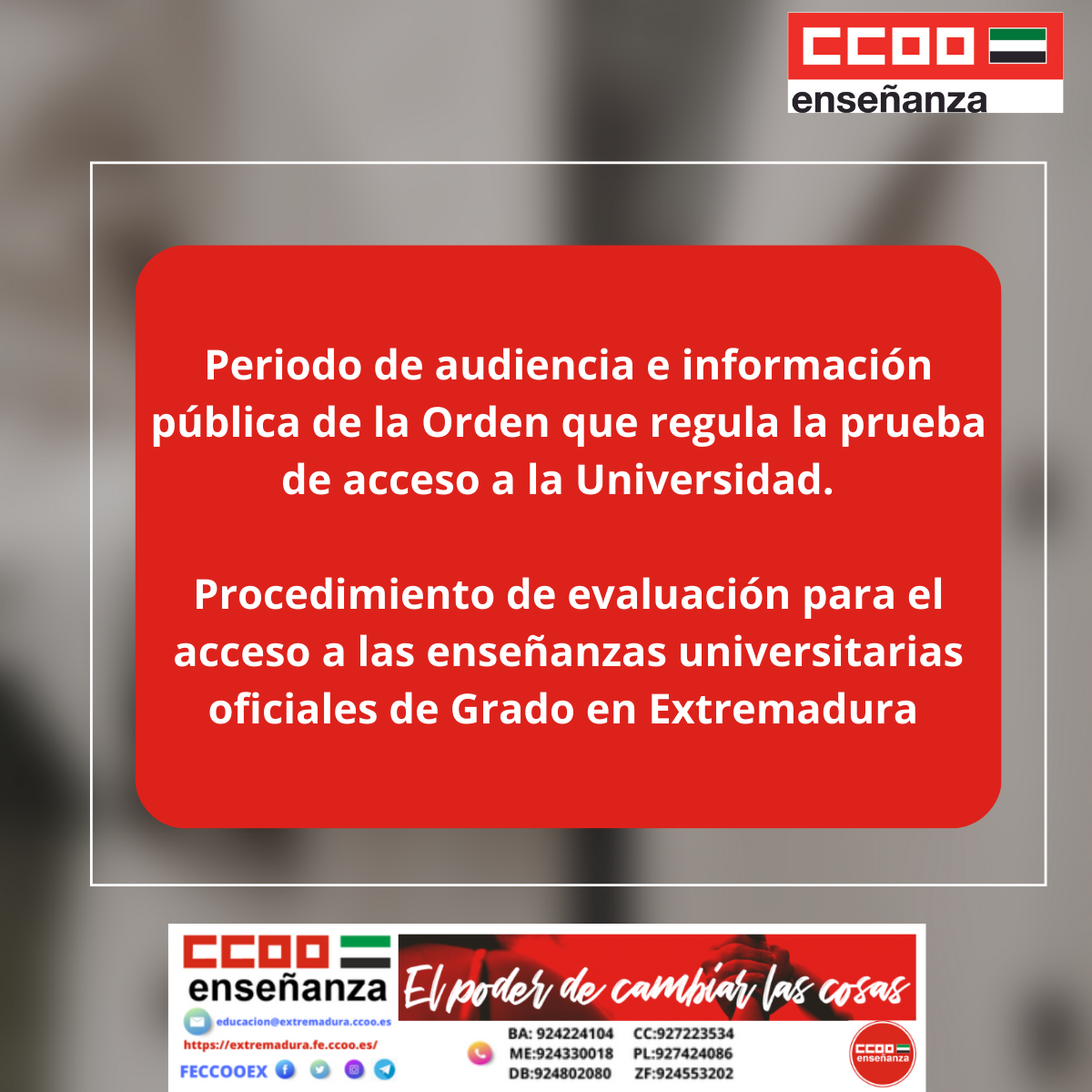 Informacin pblica universidad