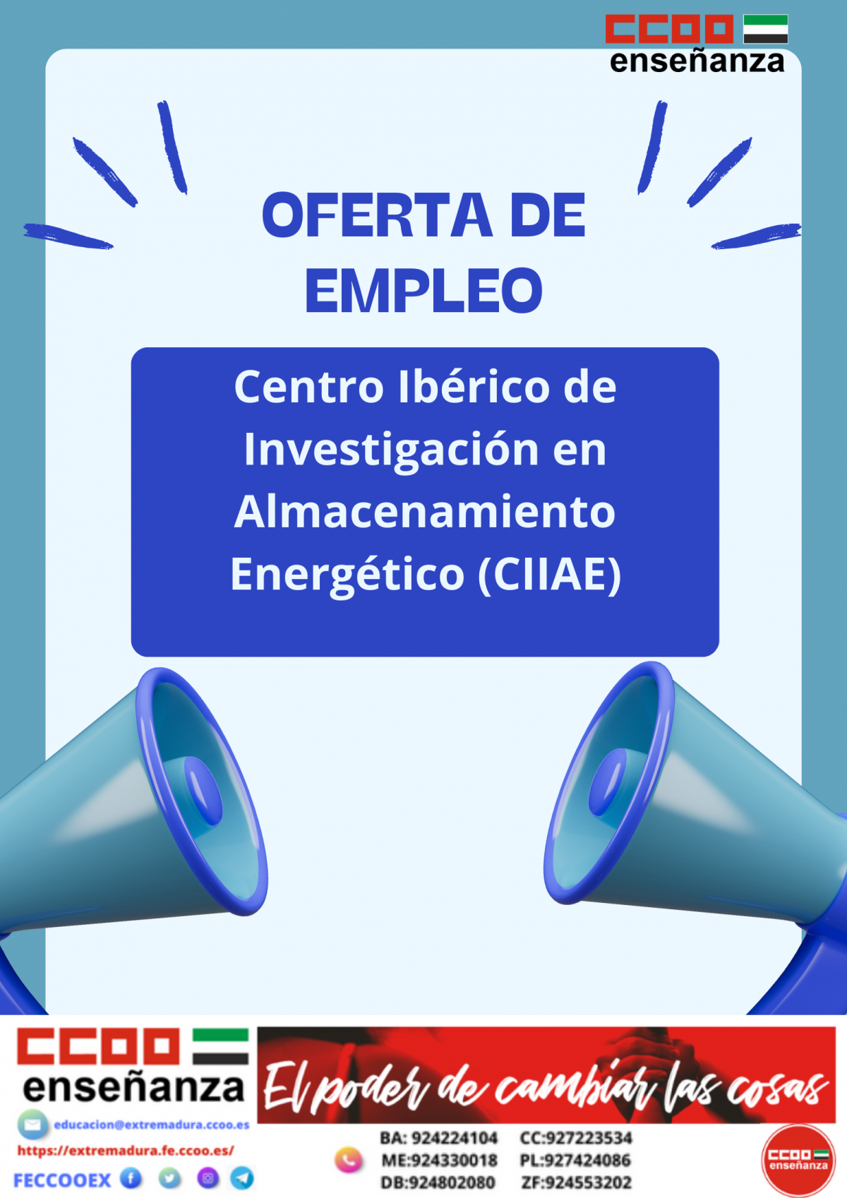 Oferta de empleo. Centro Ibrico de Investigacin en Almacenamiento Energtico (CIIAE)
