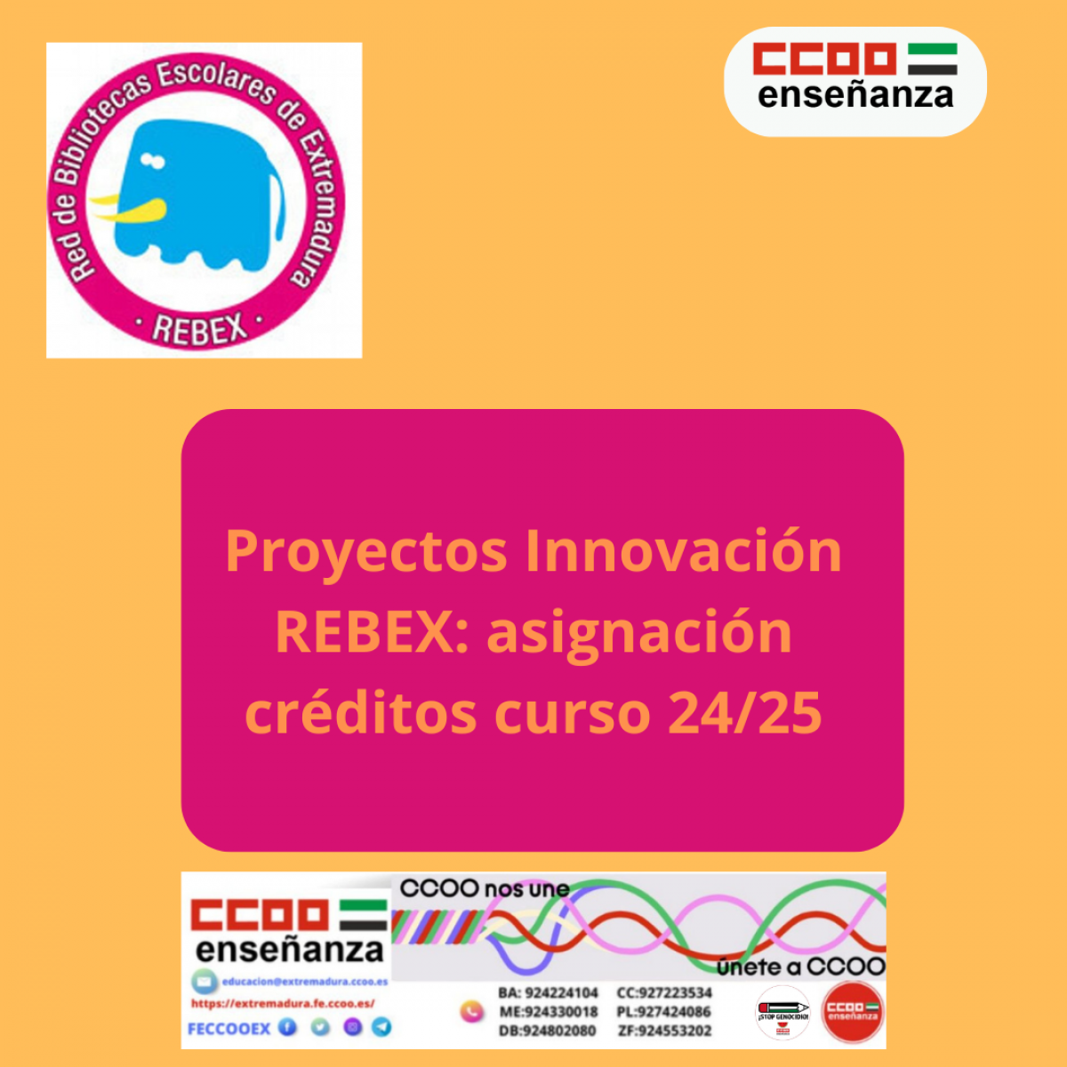 Rebex 2024/2025