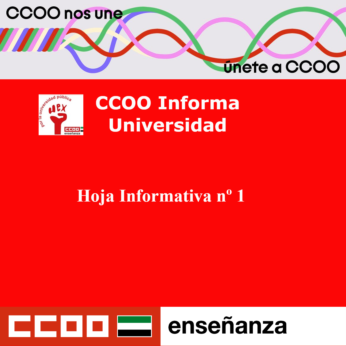 Hoja Informativa Nº1