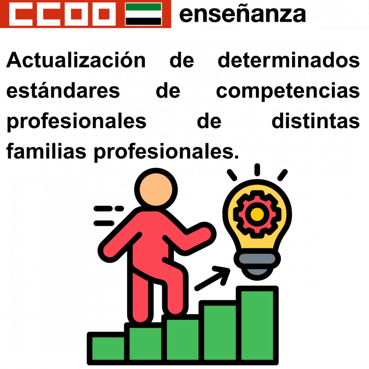 Actualización de determinados estándares de competencias profesionales de distintas familias profesionales.