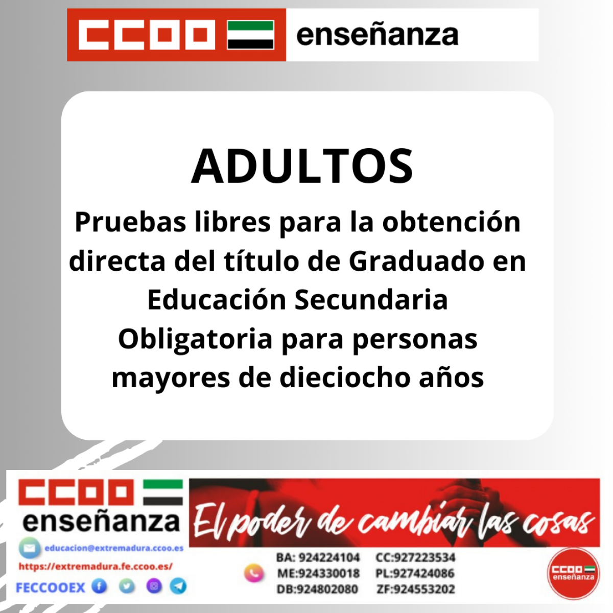 ADULTOS