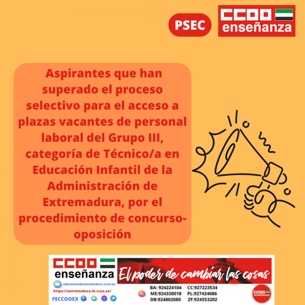 aspirantes que han superado el proceso selectivo tei