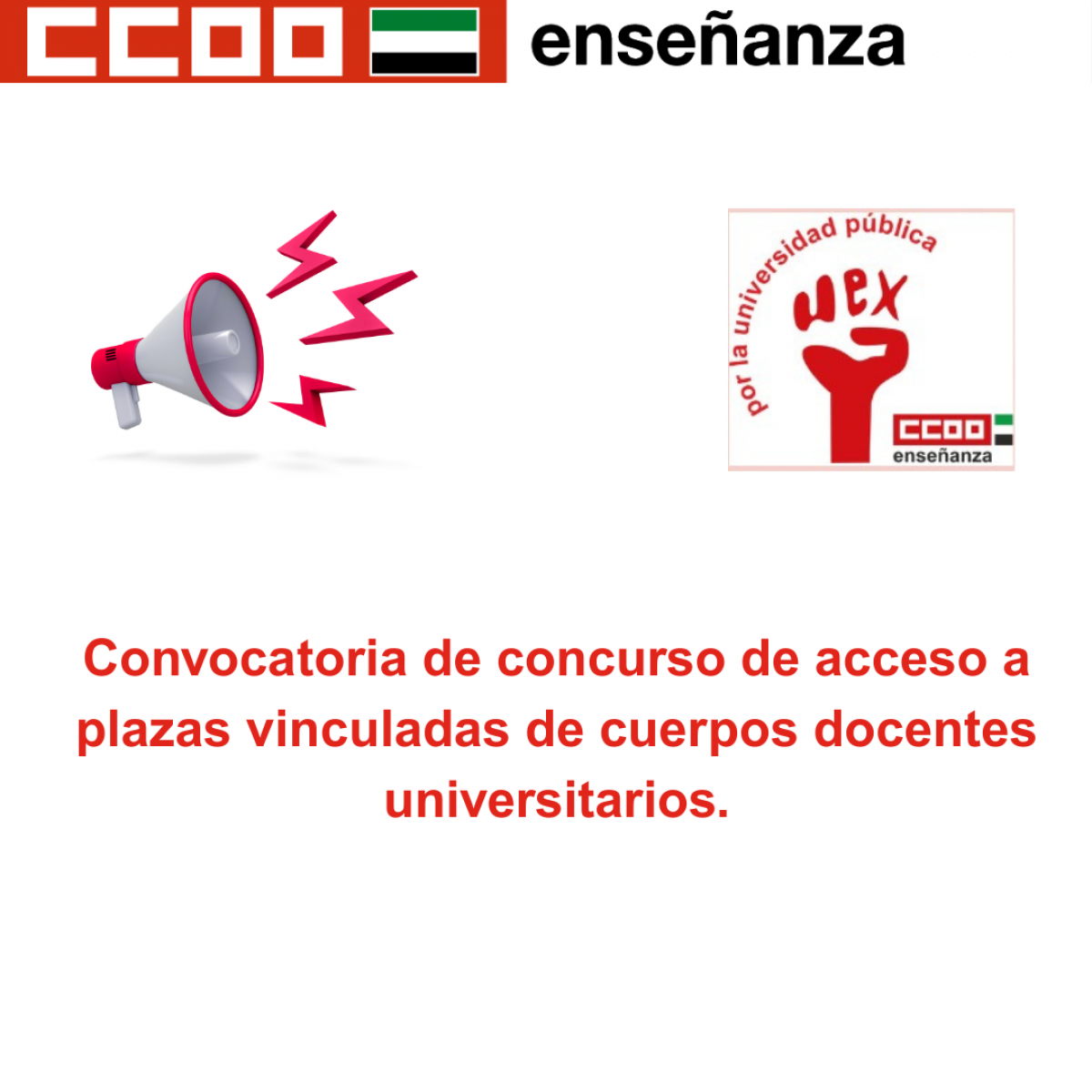 Convocatoria de concurso de acceso a plazas vinculadas de cuerpos docentes universitarios.