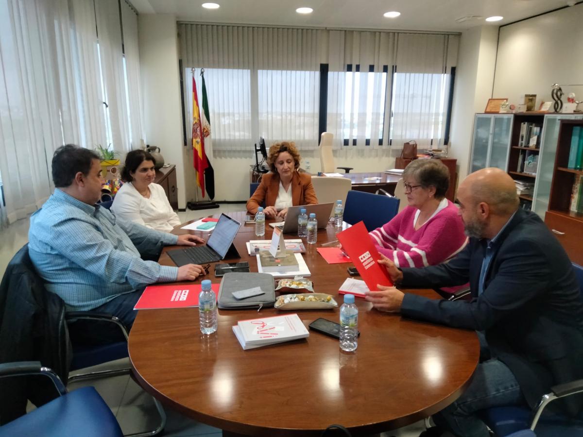 Reunión CCOO-SEPAD