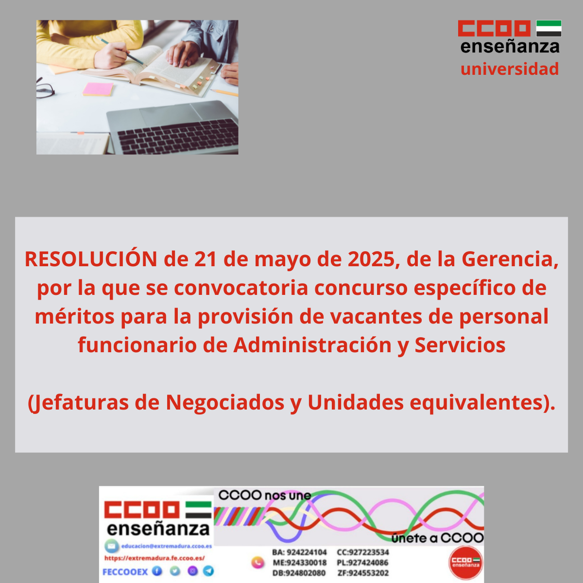 concurso de mritos unviversidad
