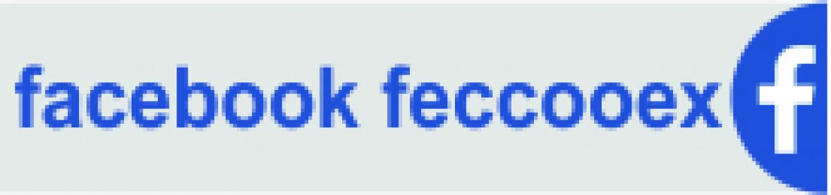 facebook feccooex