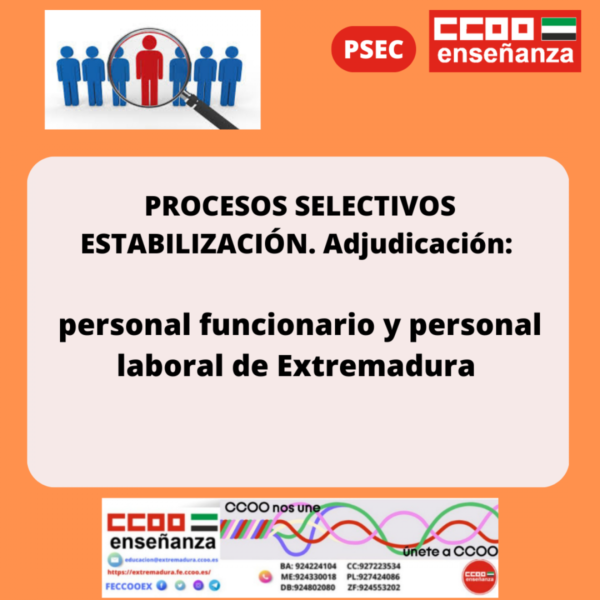 Procesos selectivos de estabilizacin. Adjudicacin