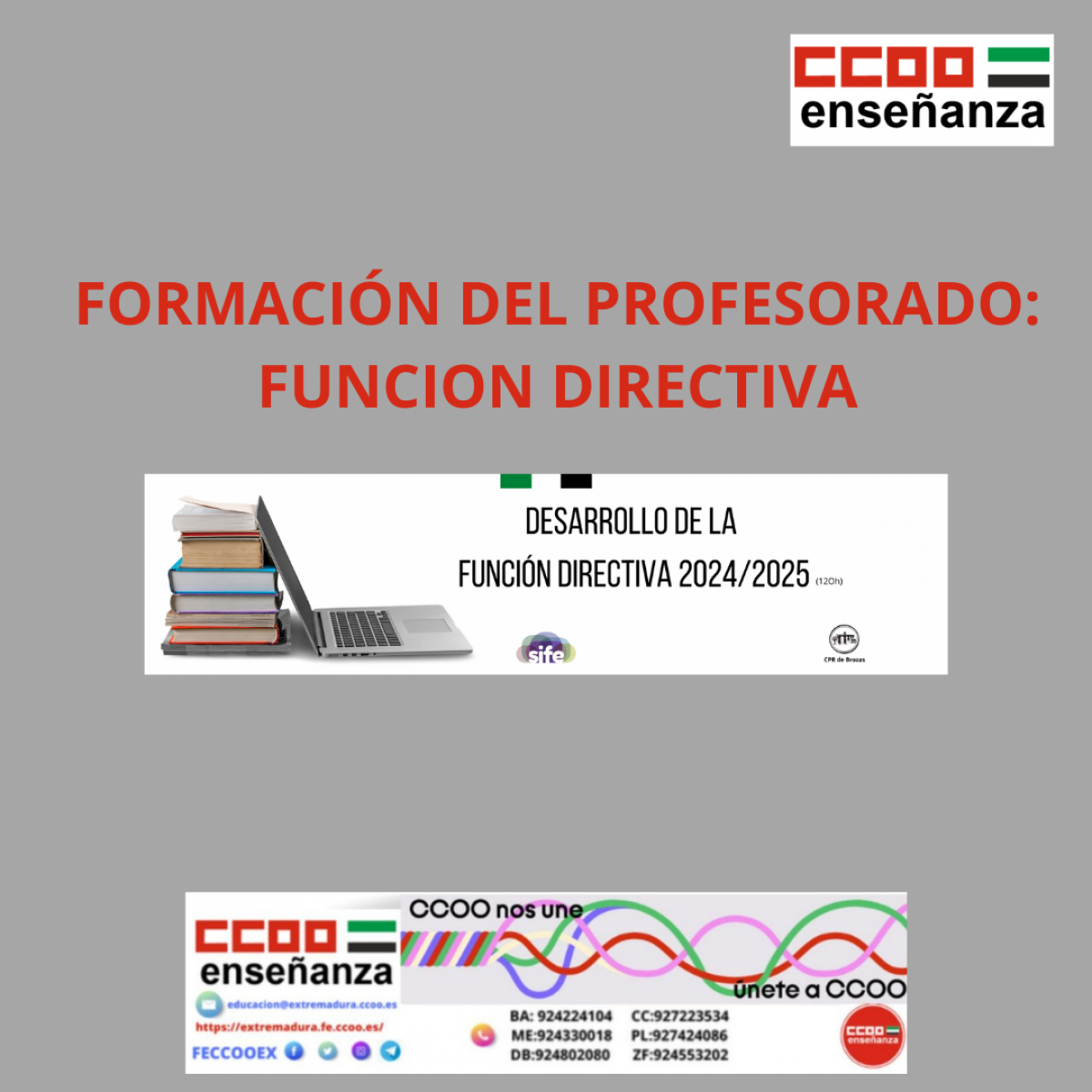 FORMACION DEL PROFESORADO: FUNCION DIRECTIVA