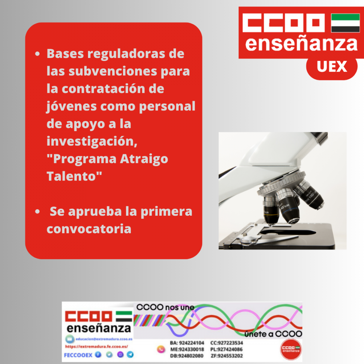 "Programa Atraigo Talento" Universidad