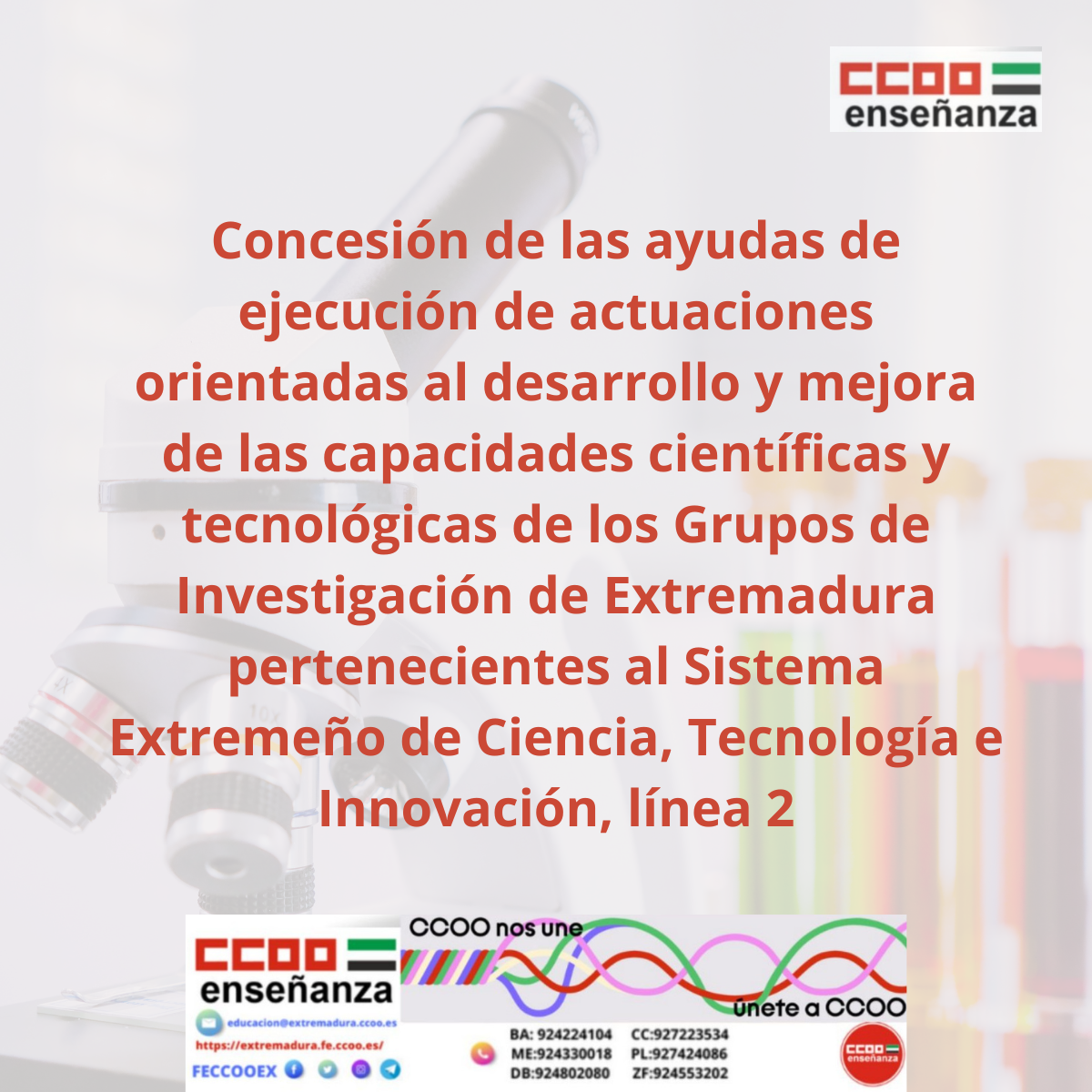 Concesión de ayudas