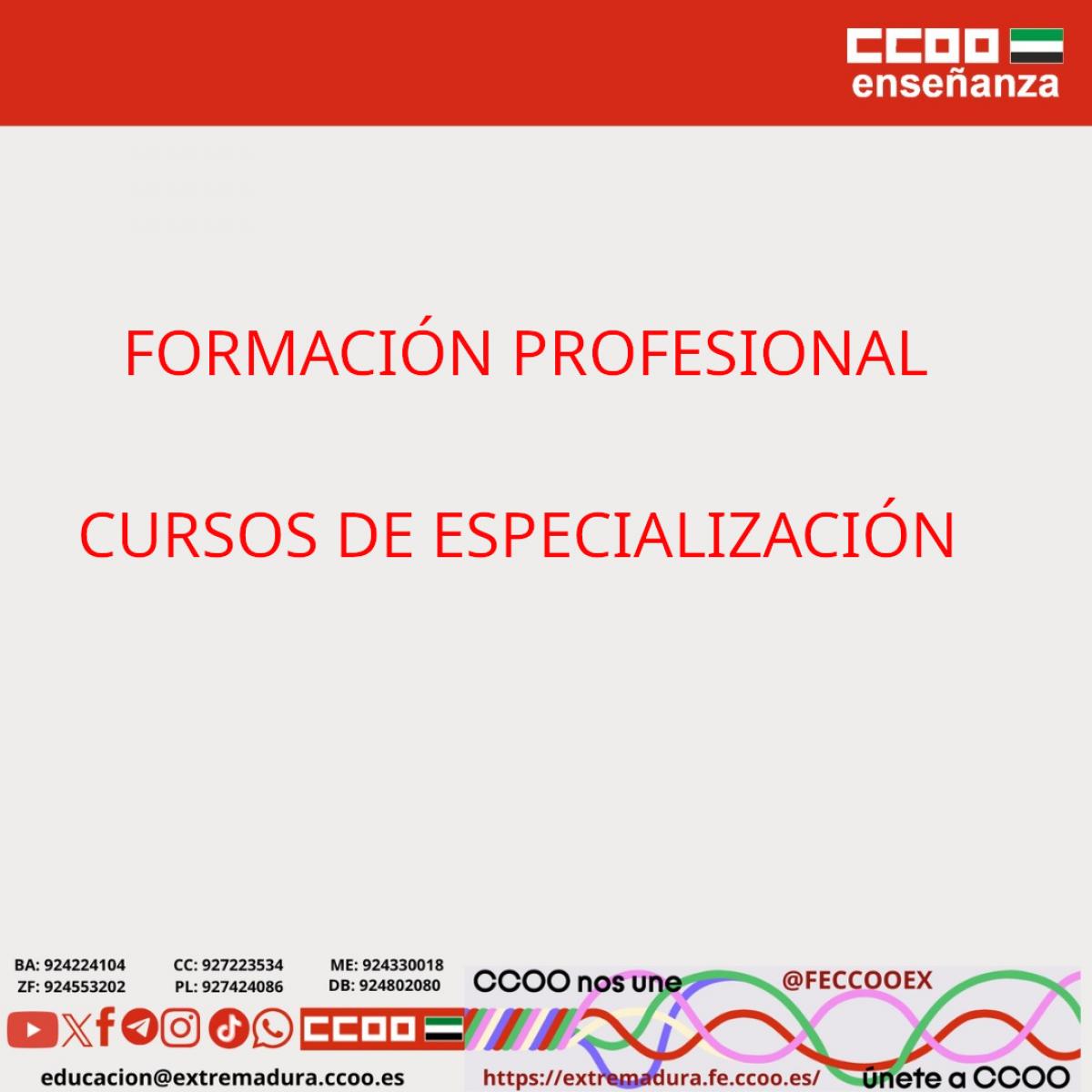 Cursos de especialización