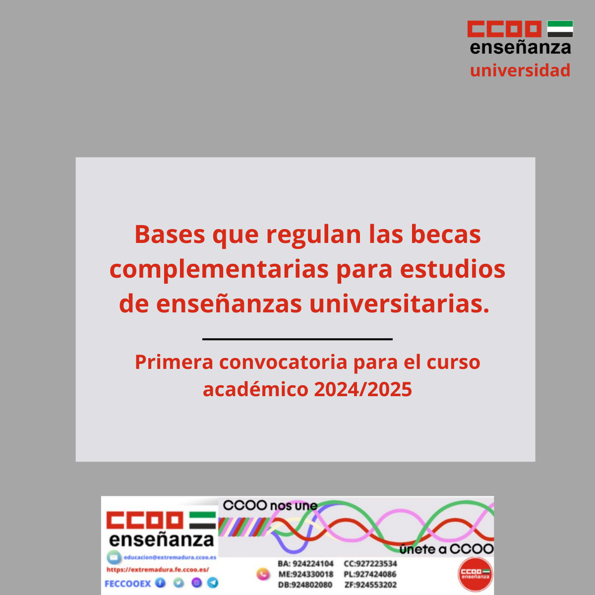 Becas complementarias universidad