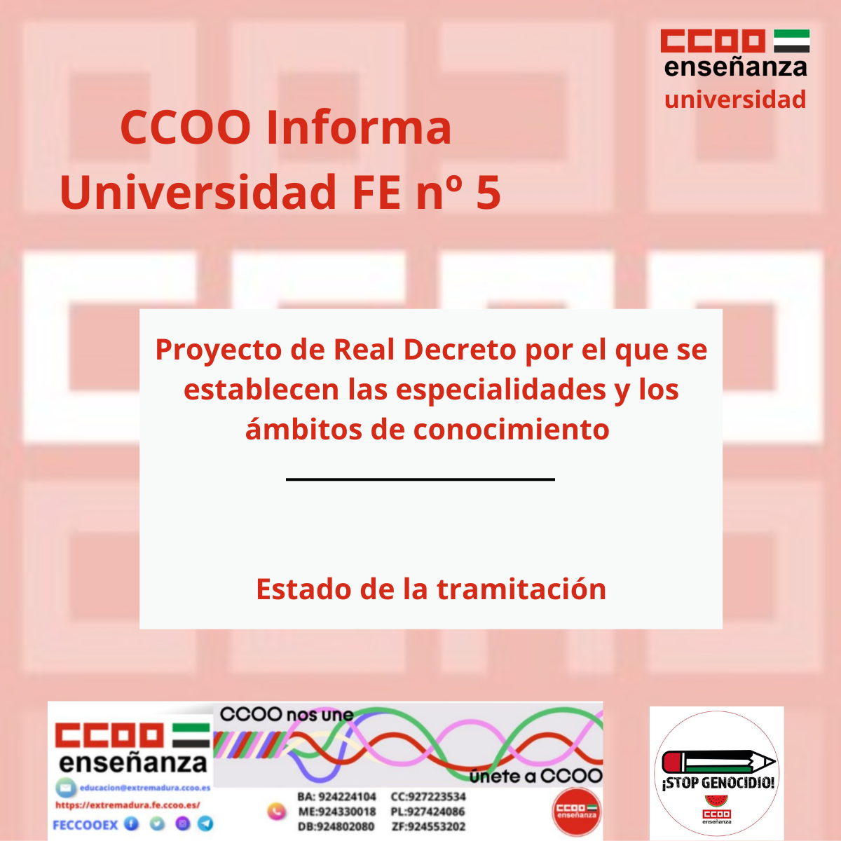 CCOO Universidad FE nº5