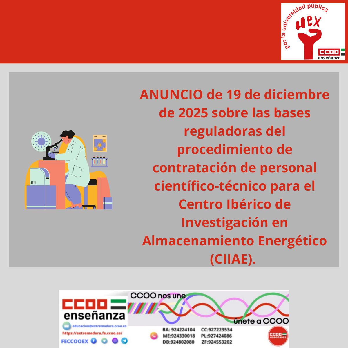 Bases reguladoras contratación