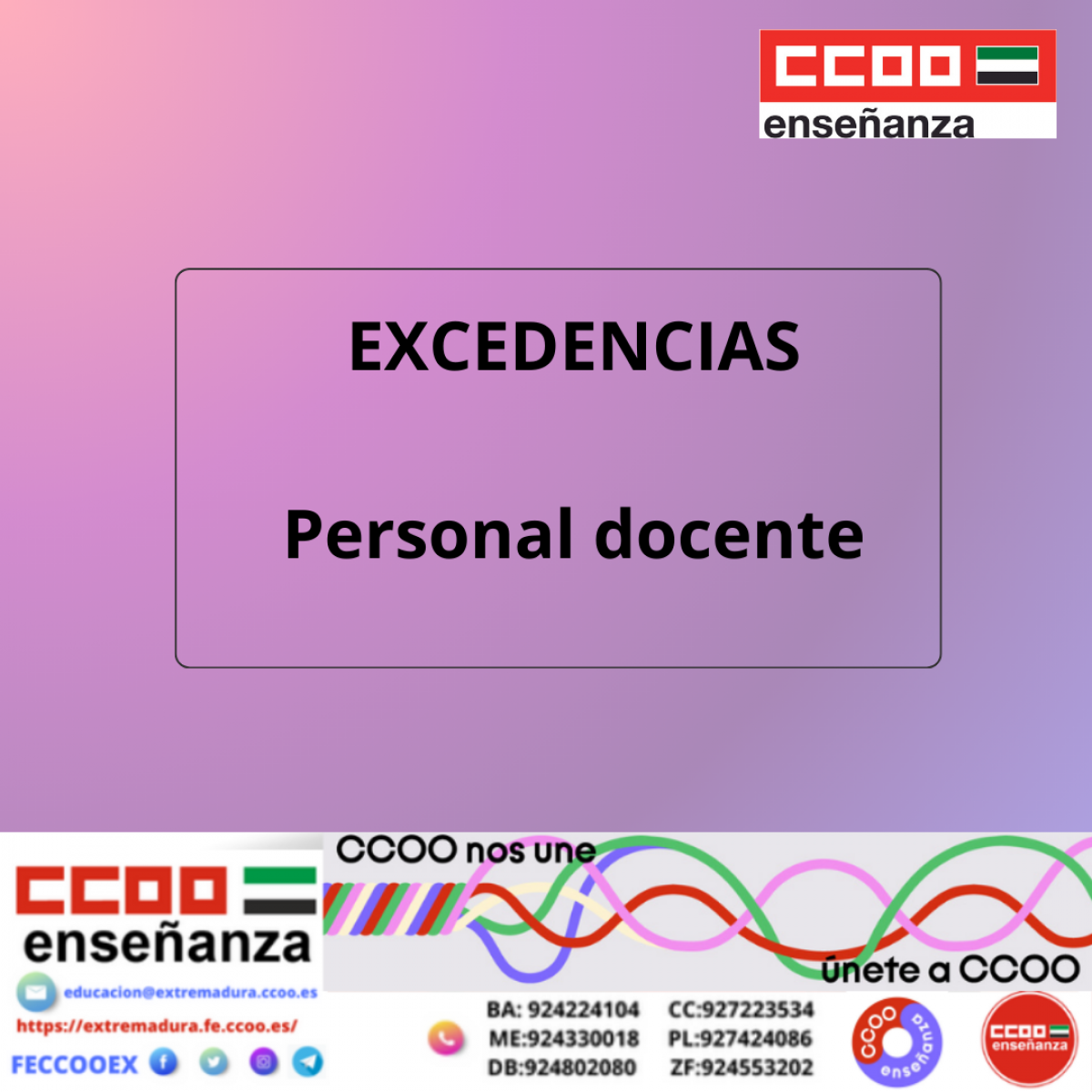 Excedencias personal docente