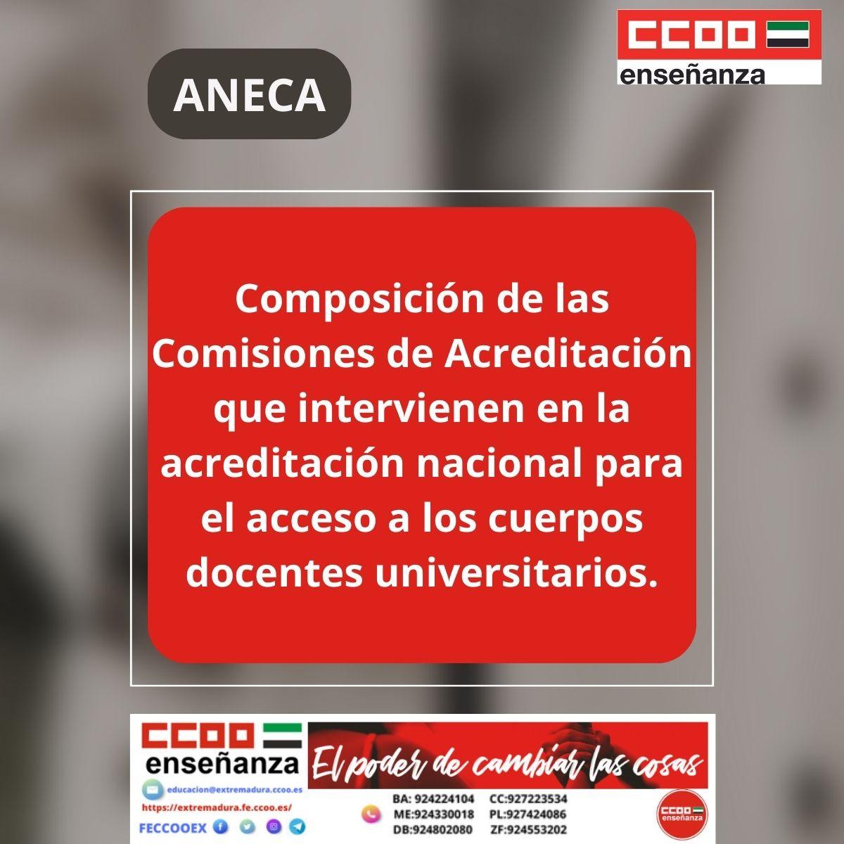 Composicin comisiones ANECA