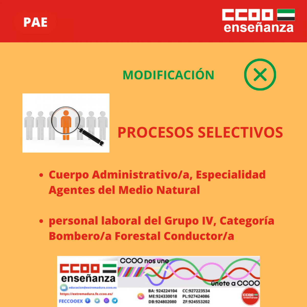 Modificación Procesos Selectivos